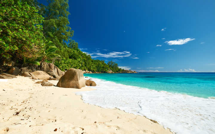 Scalo Saint Kitts